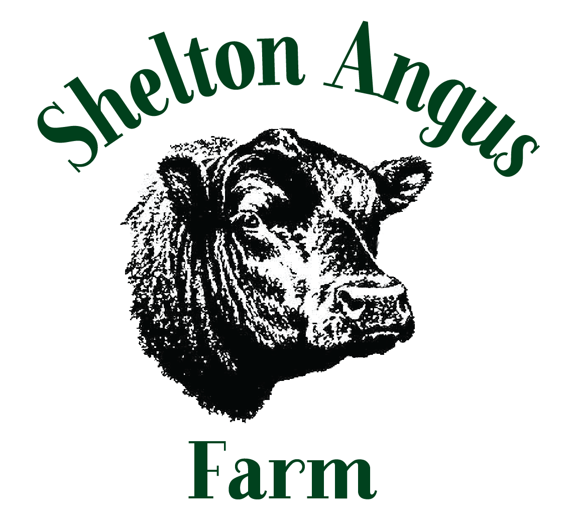 Shelton Angus Farm